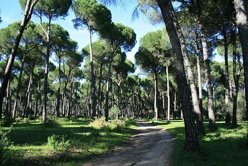 Homestay Ravenna 241363