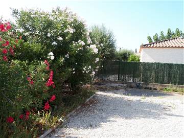 Chambre À Louer Salles-D'aude 259490