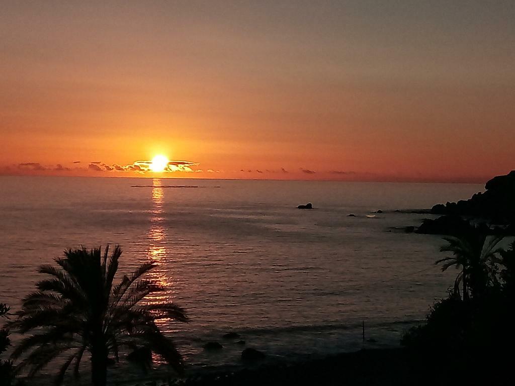 Casa Inteira Madeira 223769