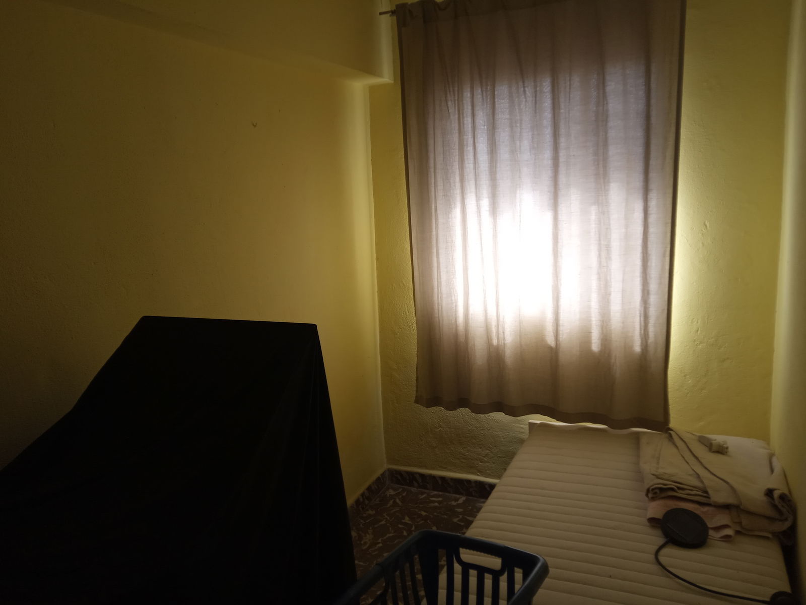 Homestay Las Palmas de Gran Canaria 246584
