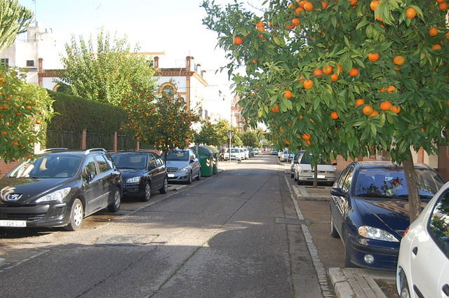 Famiglia Sevilla 32821