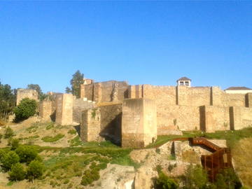 Colocation Málaga 107105-4