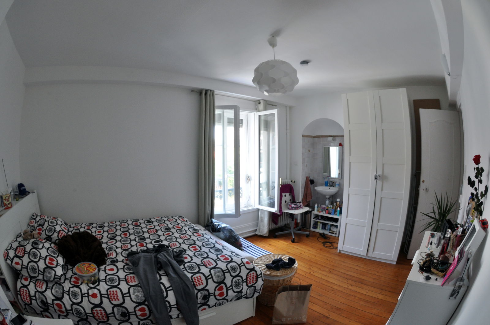 Kolokasie Cergy 164575