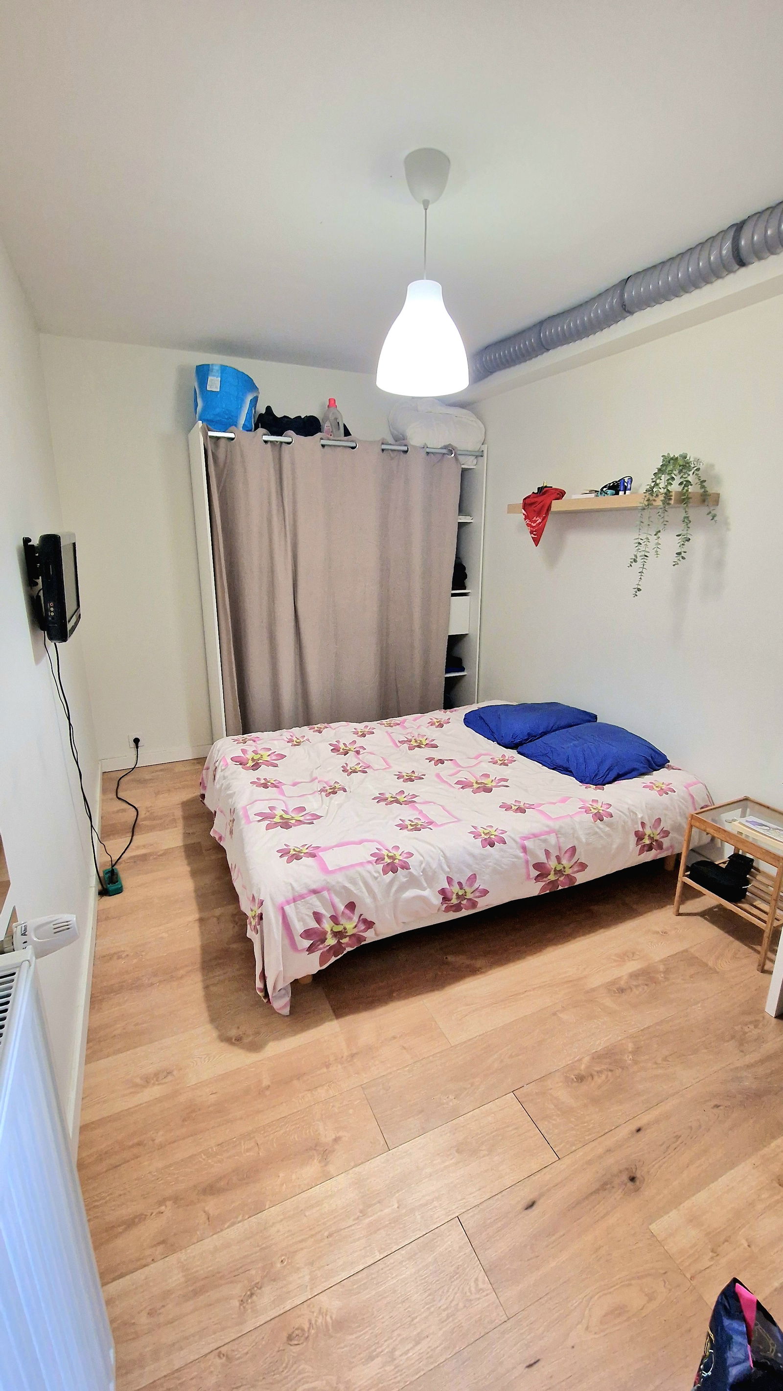 Kolokasie Toulouse 250225