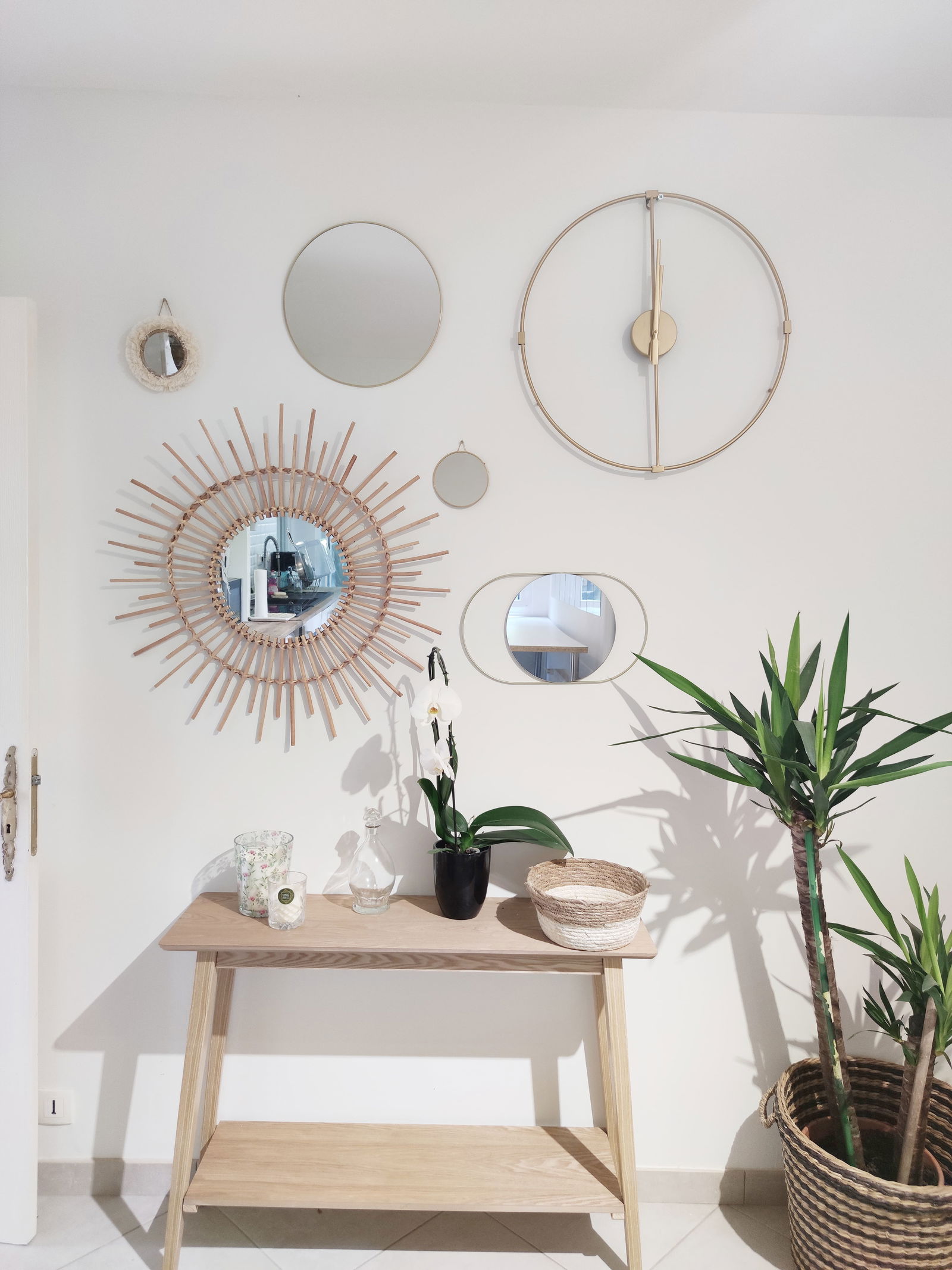 Kolokasie Toulouse 250225