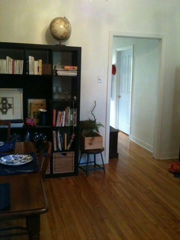 Kolokasie Montréal 31471