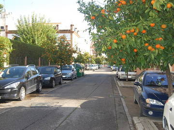 Homestay Sevilla 32821-8