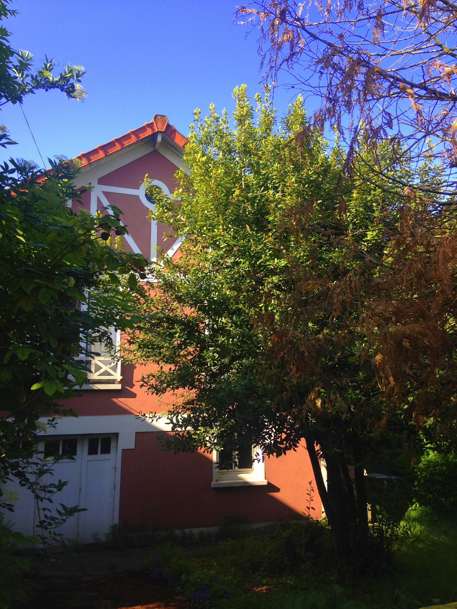 Colocation Champigny-sur-Marne 124572