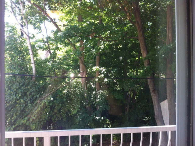 Hjemmeophold Gatineau 29658