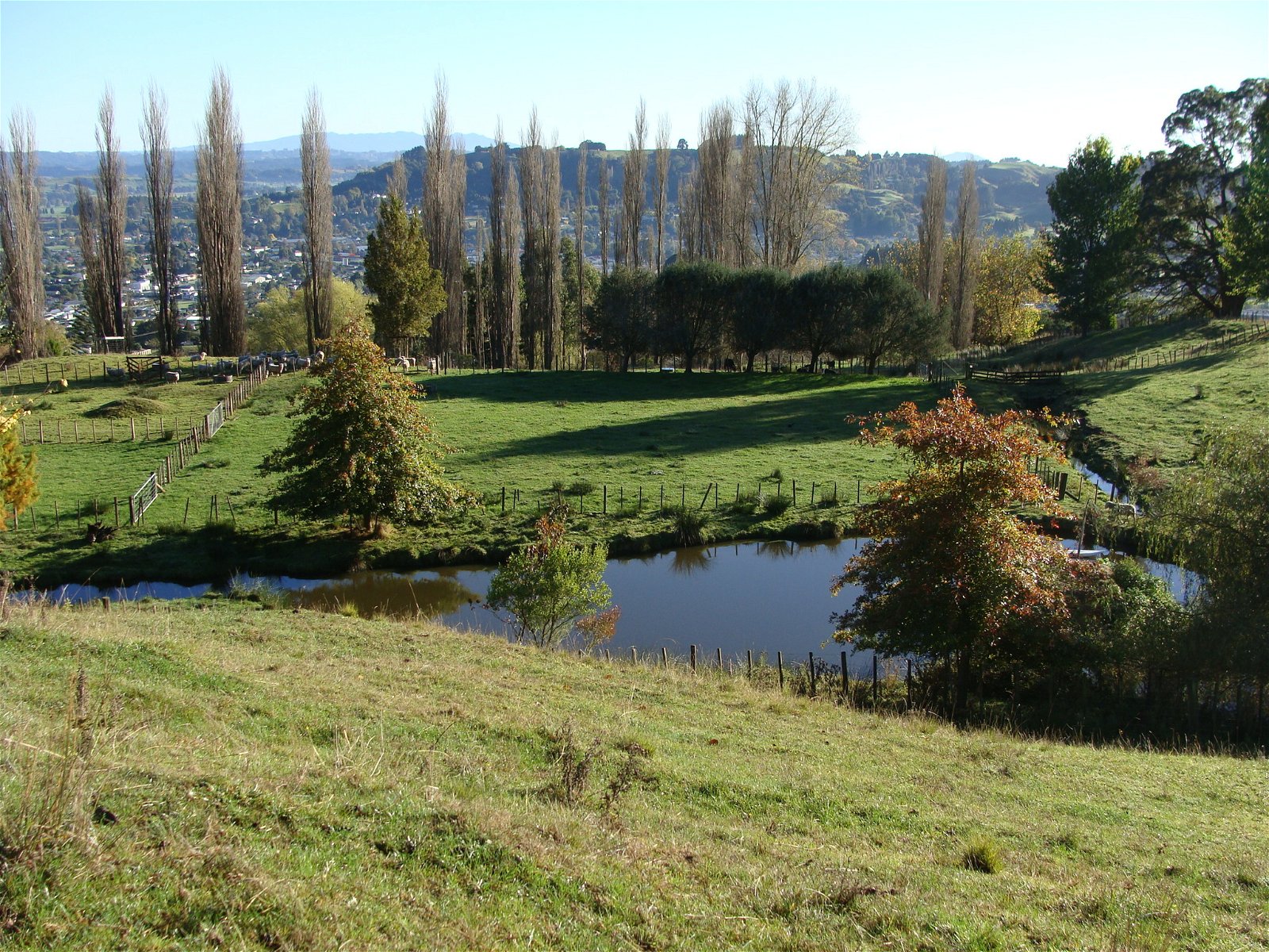 Bed And Breakfast Te Kuiti 119578