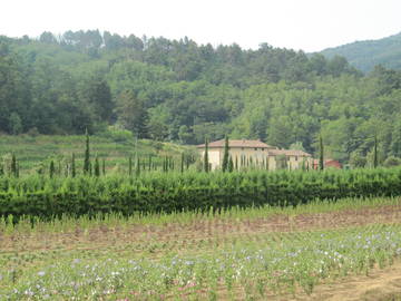 Logement Entier Stazione Masotti 142109-11