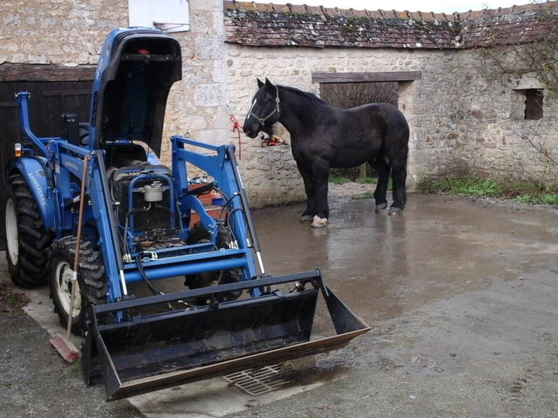 Gastenkamers Villeneuve-en-Perseigne 134391-2