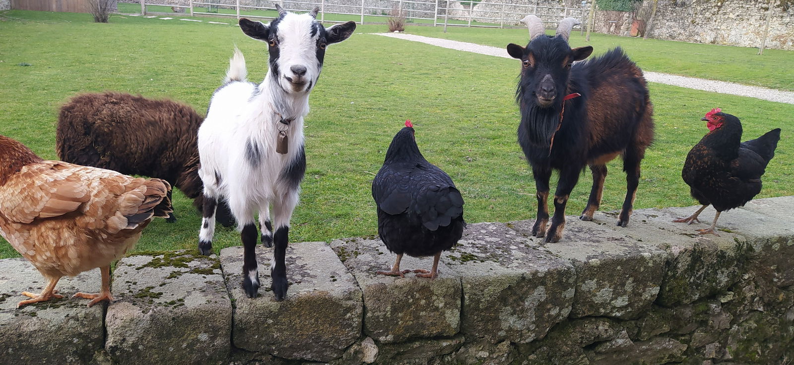 Tutta La Casa Saint-Aubin-des-Ormeaux 260283