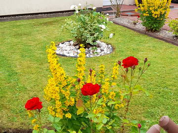 Logement Entier Garding, Kirchspiel 255153-11