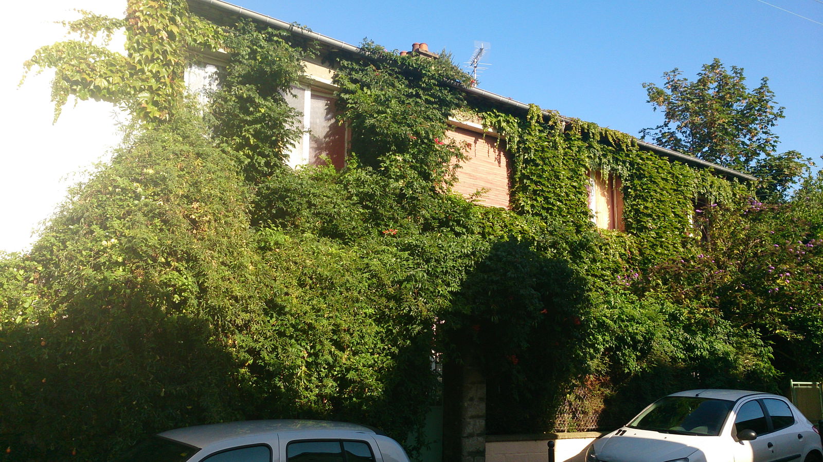 Homestay Rennes 190249