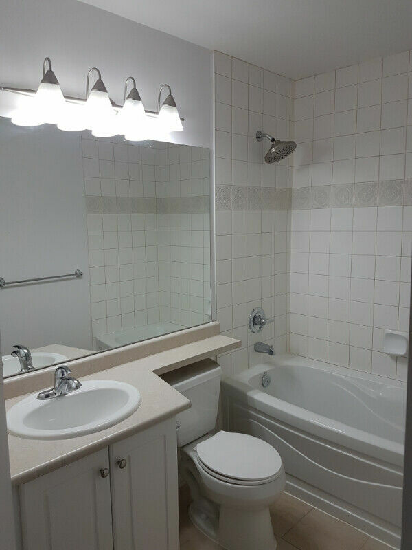 Homestay Mississauga 245934