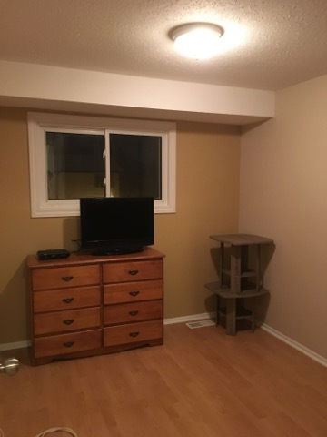 Homestay Ottawa 189340