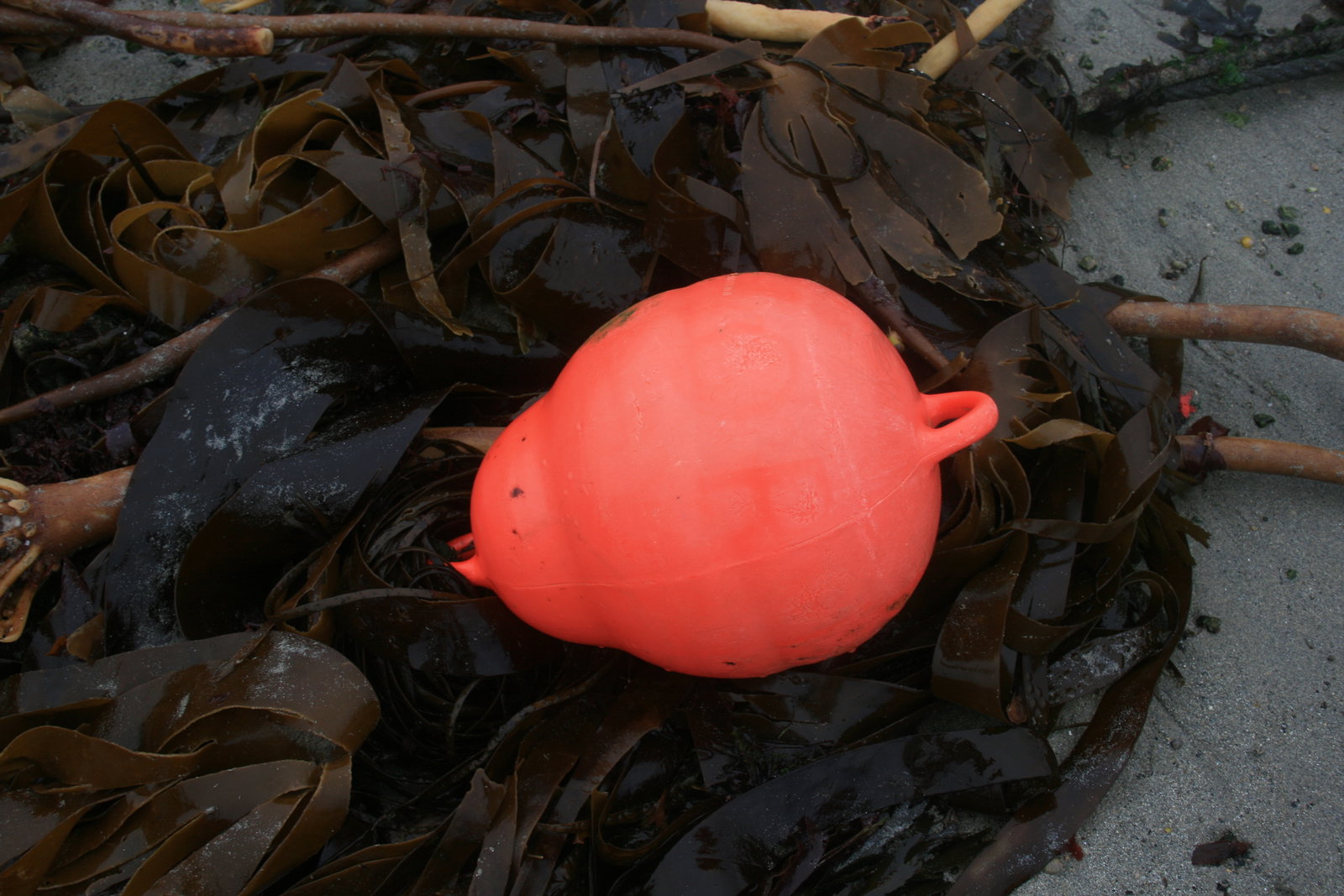 Casa Inteira Saint-Pabu 190630