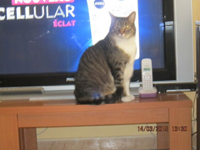 Gastfamilie Llançà 182807