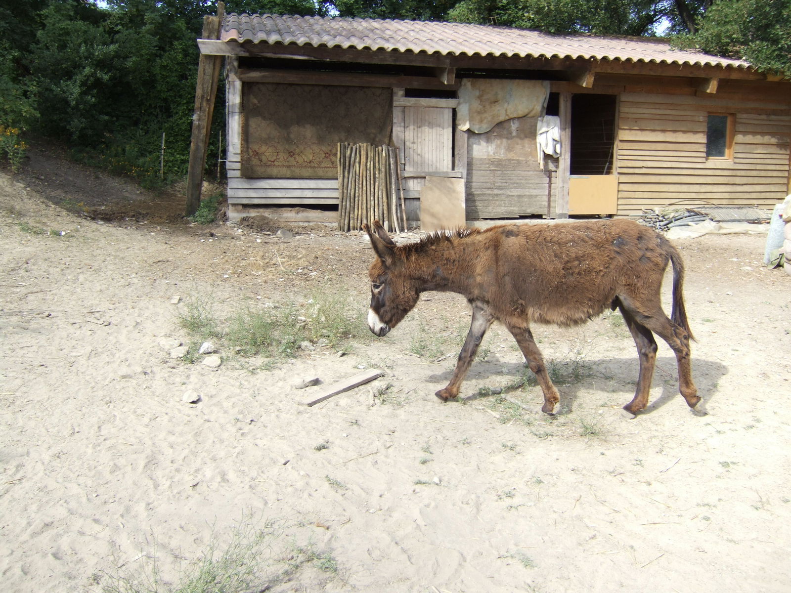 Unabhängiges Studio La Tour-d'Aigues 30052