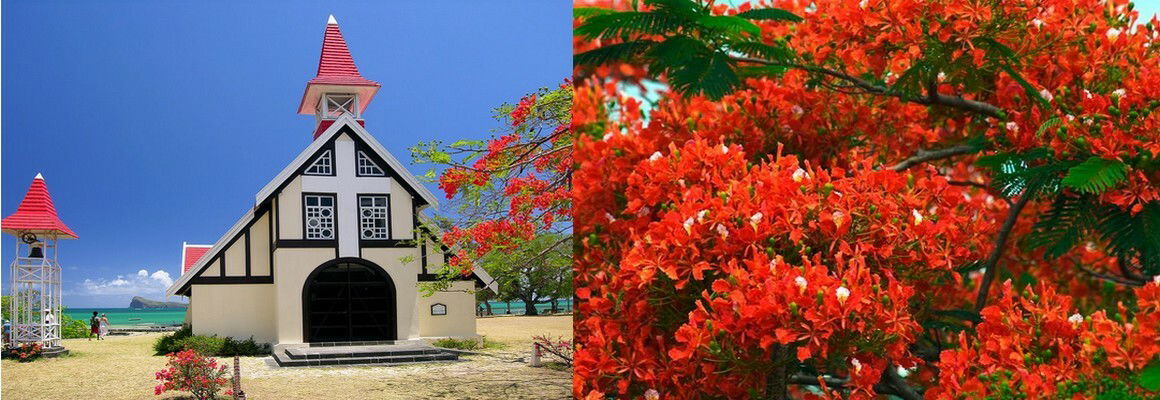 Unabhängiges Studio Grand Gaube 96883