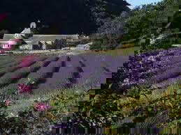 Unabhängiges Studio Villars 40700