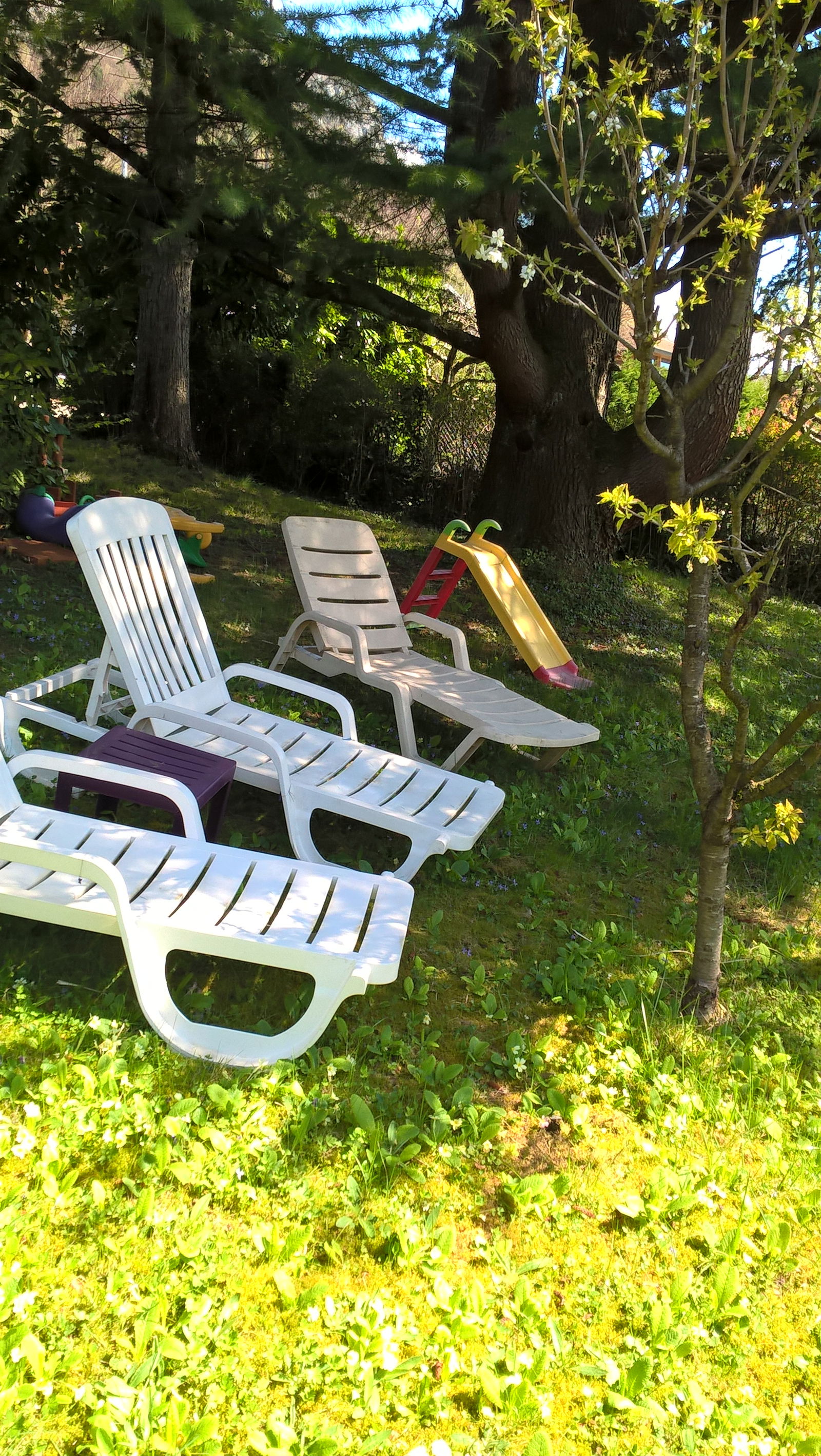 Unabhängiges Studio Veyrier-du-Lac 68447