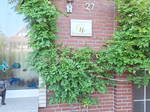 Studio Zu Vermieten Kempen 533021