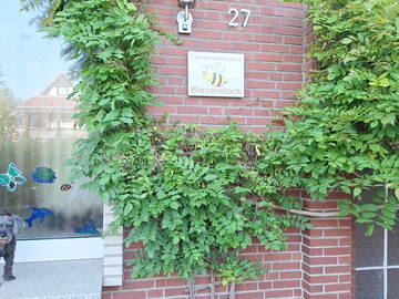 Studio Zu Vermieten Kempen 533021-1