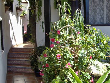 Entire Home Icod De Los Vinos 243010-8