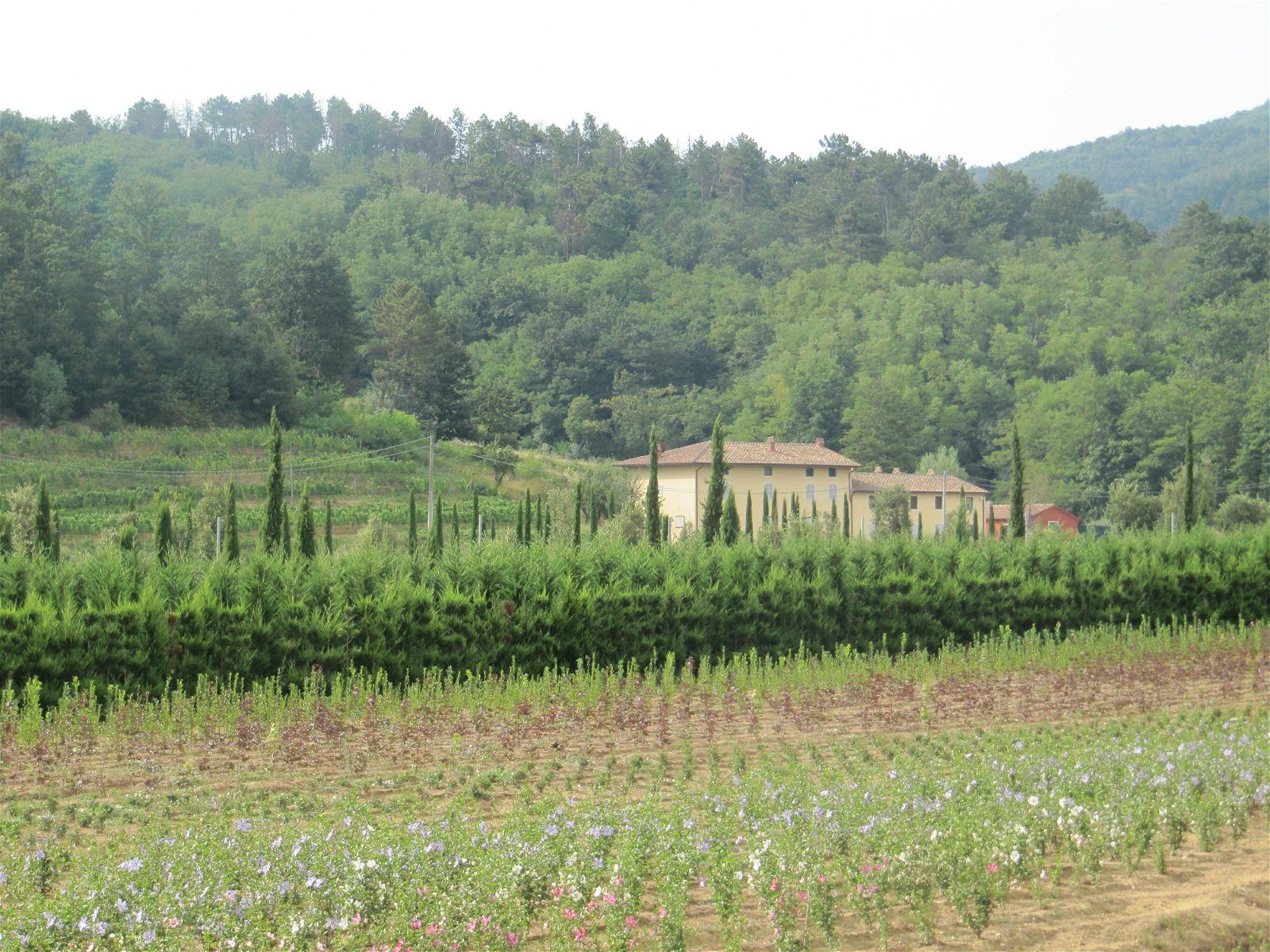 Logement Entier Stazione Masotti 142109