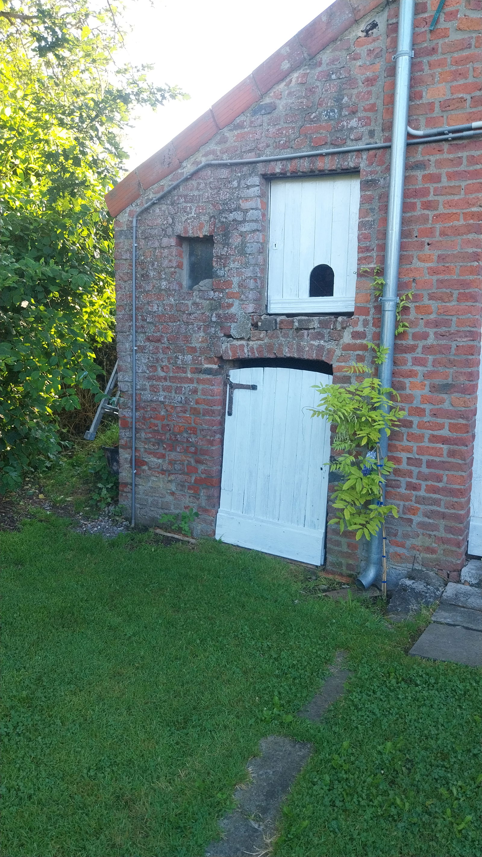 Onafhankelijke Studio Houyet 209830