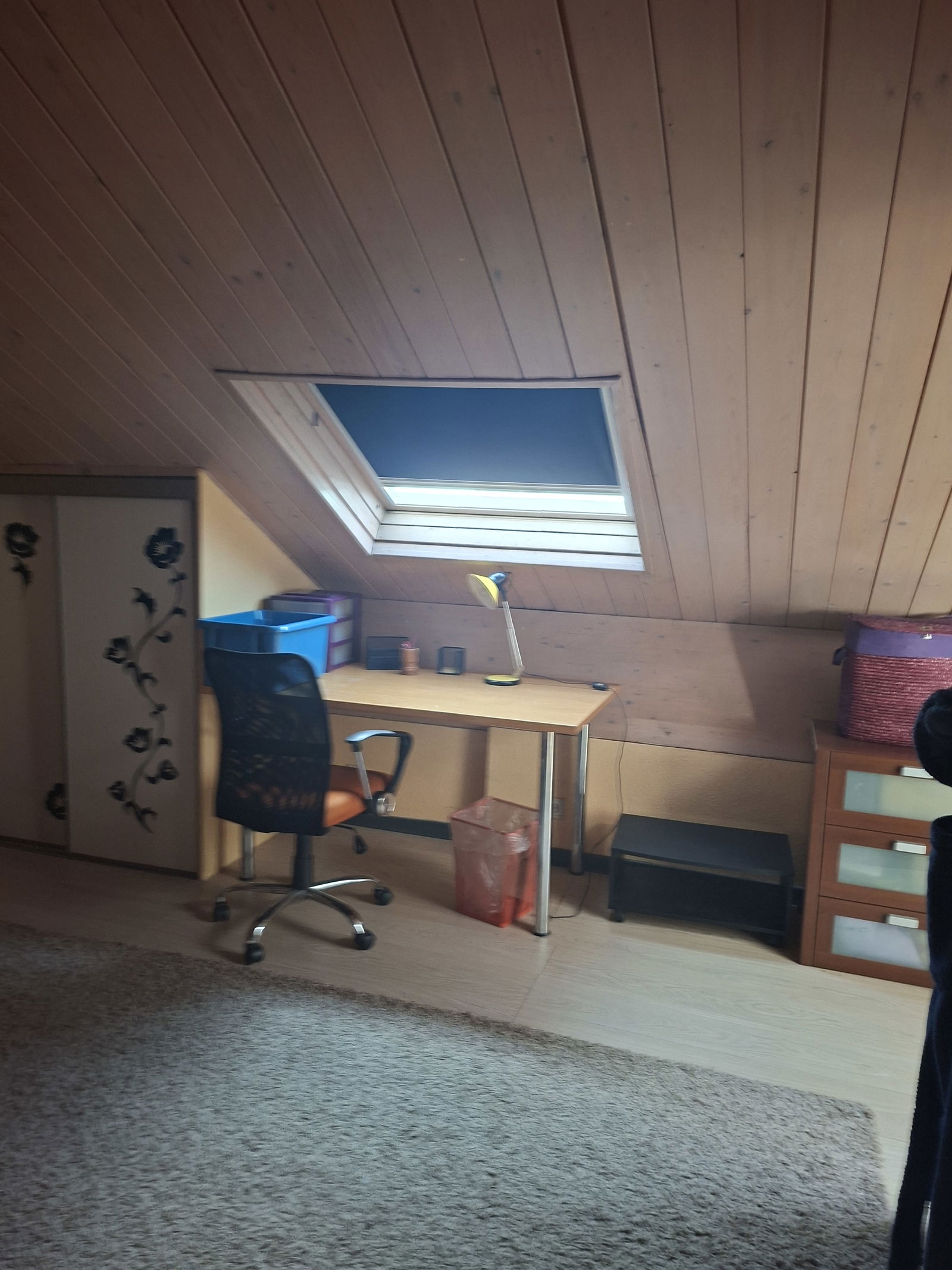 Hospedagem Em Casa De Família Ferney-Voltaire 654035