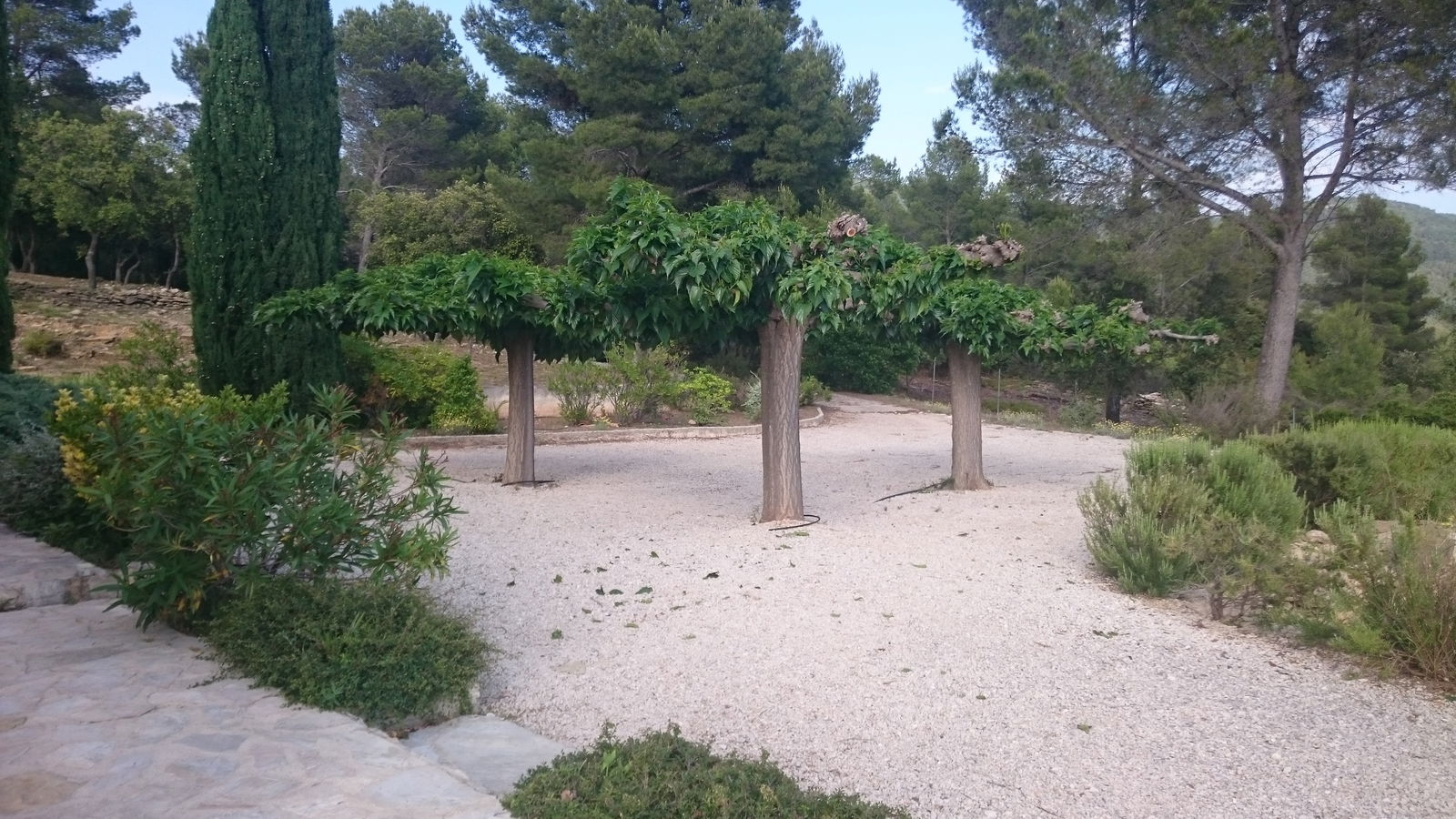 Tutta La Casa Évenos 191088