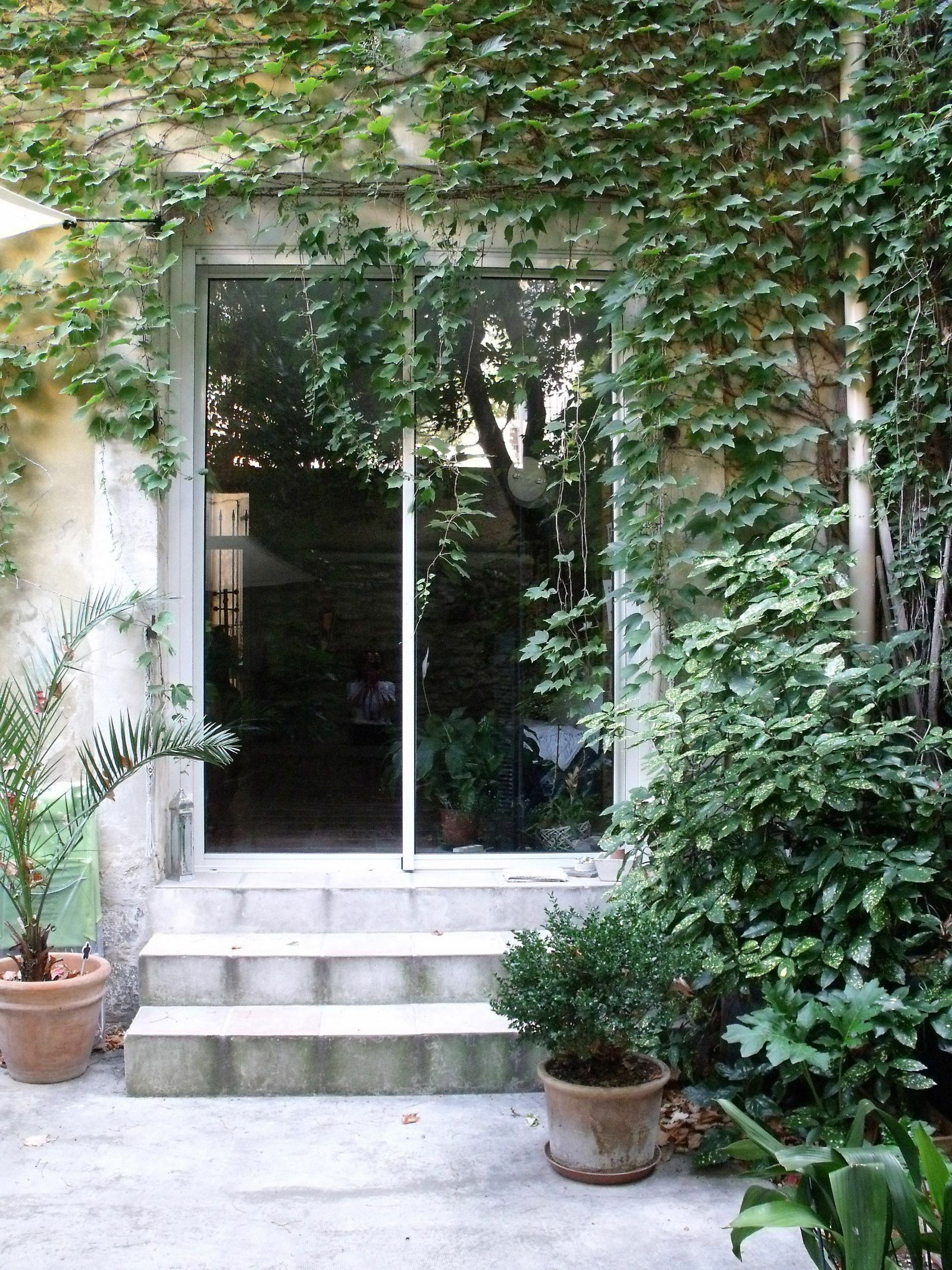 Independent Studio Avignon 153975