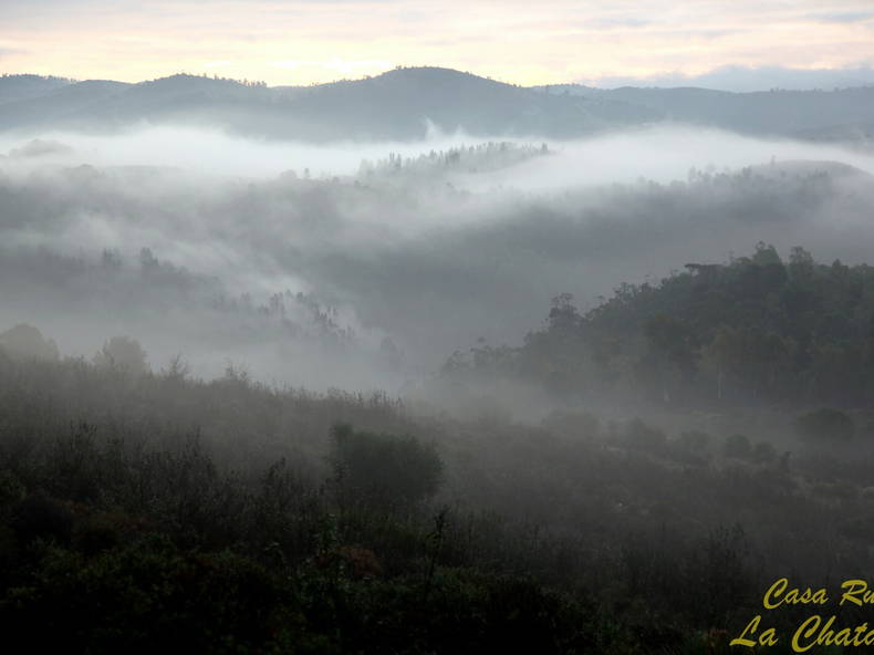 Ganzes Haus Calañas 256803-2