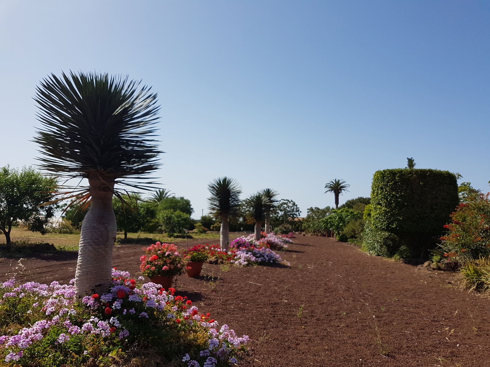 Studio Indépendant San Cristóbal de La Laguna 150932