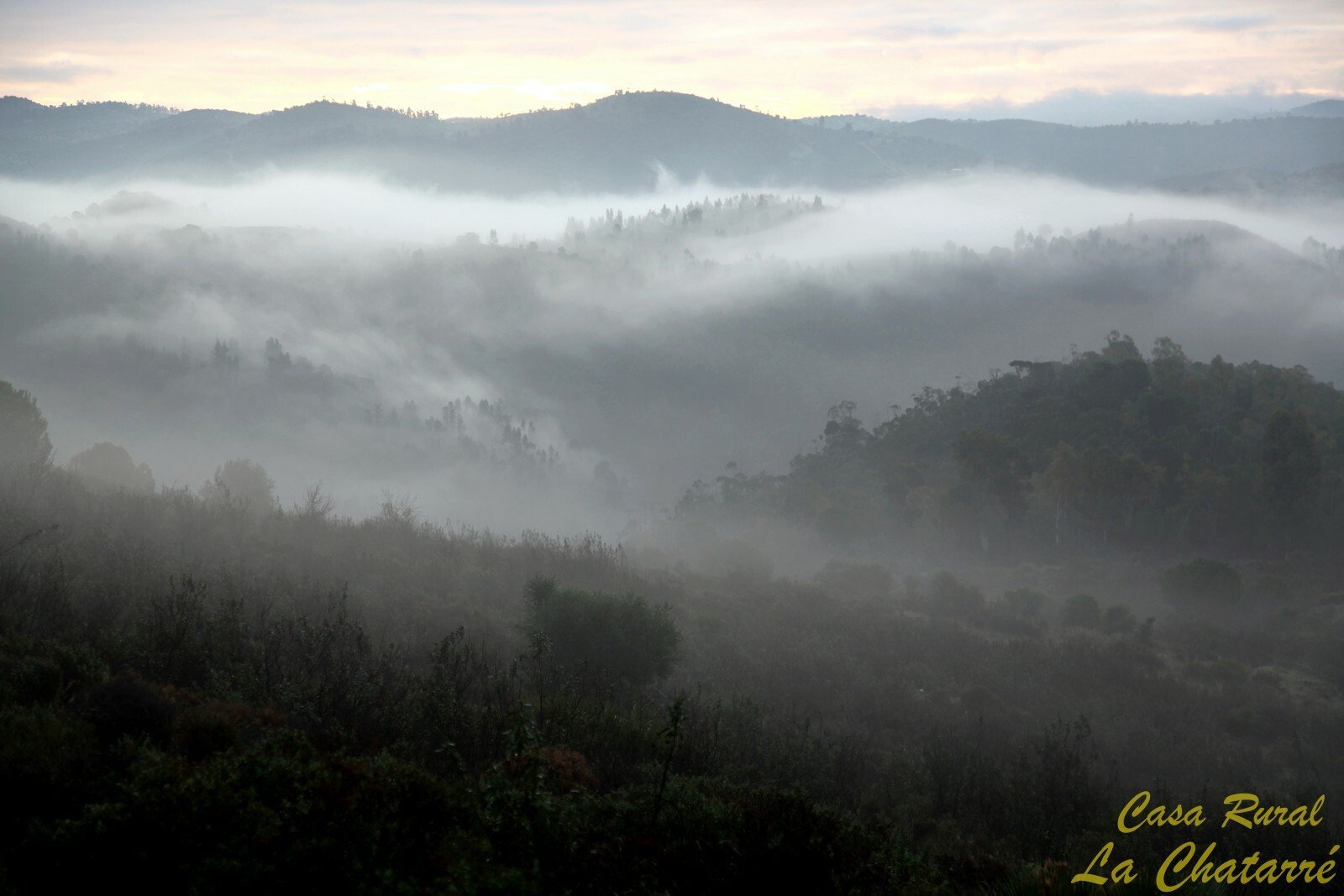 Logement Entier Calañas 256803