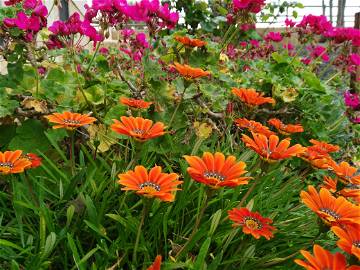 Chambre D'hôte Calañas 122950-6