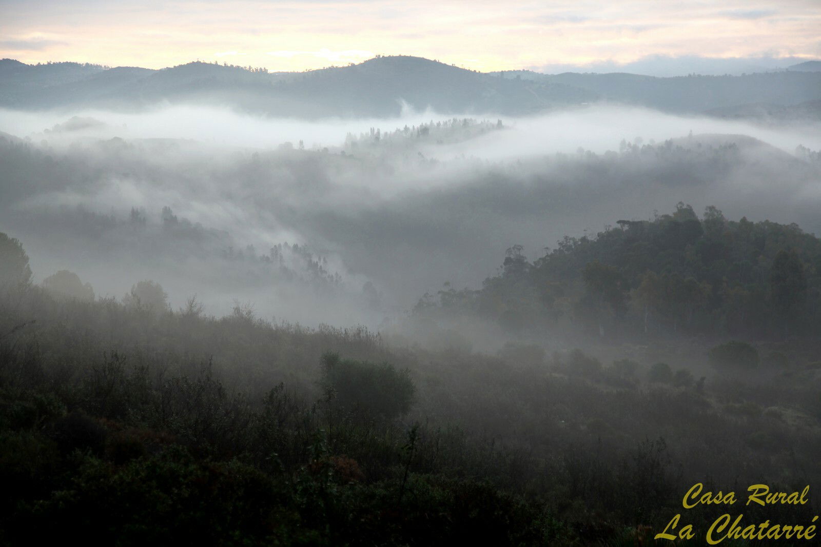 Unabhängiges Studio Calañas 256803