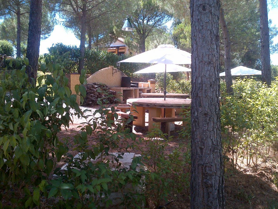 Unabhängiges Studio Calañas 256803