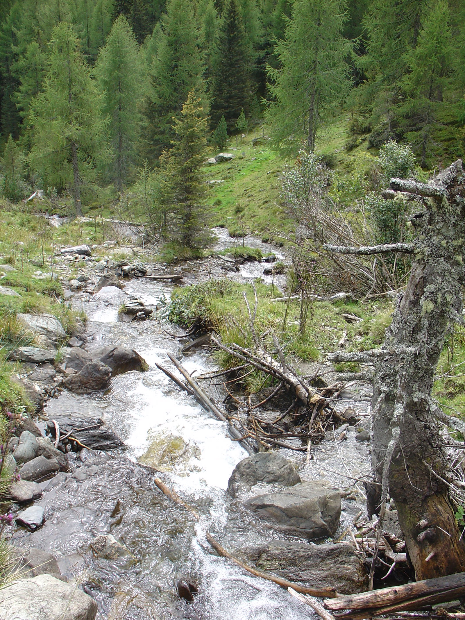 Uafhængigt Studie Beaulieu 480574