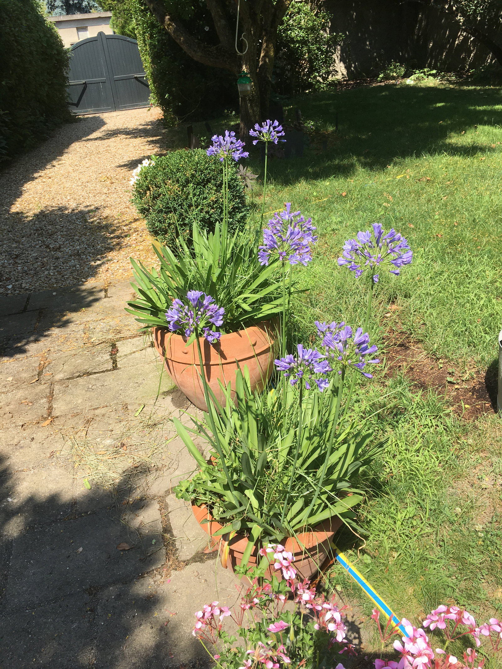 Homestay Bourges 652329