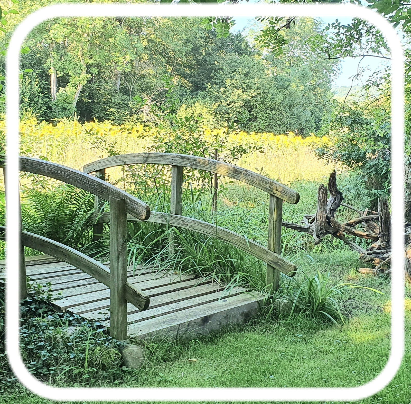 Homestay Cheyres-Châbles 581622