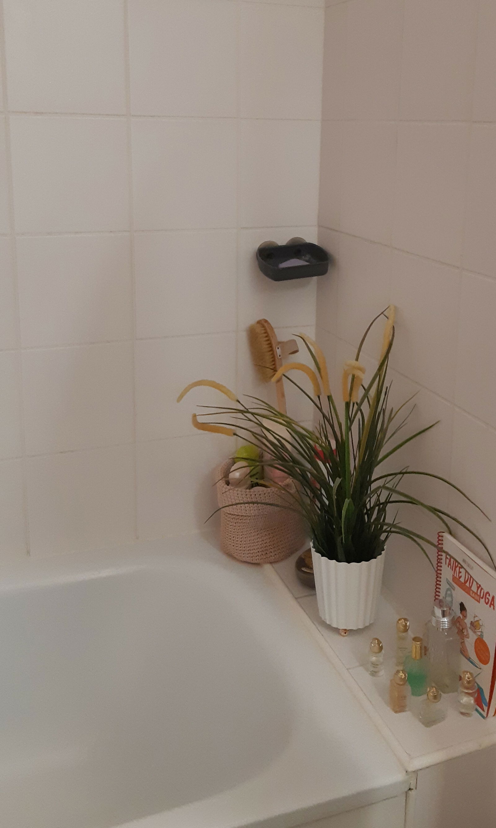 Homestay Paris 46371