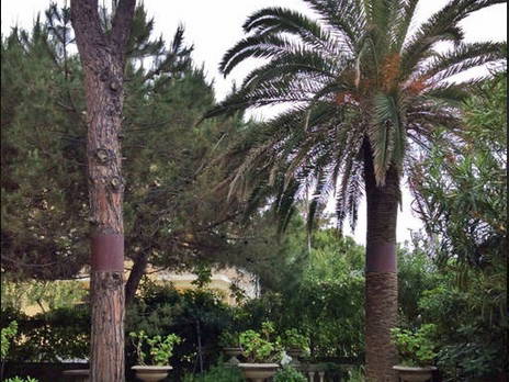 Gehele Woning Tortoreto Lido 202010-3