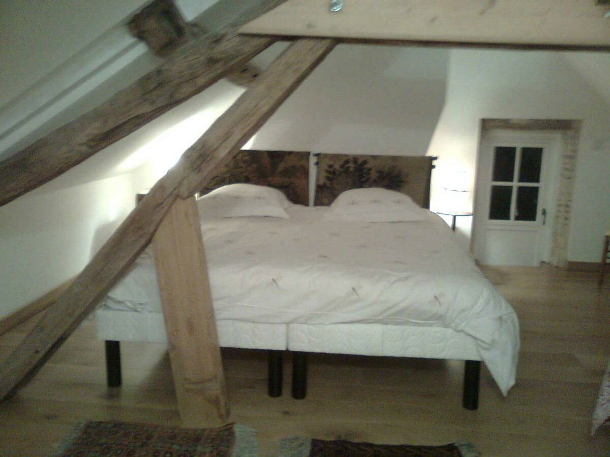 Unabhängiges Studio Saint-Benoît-sur-Loire 64053