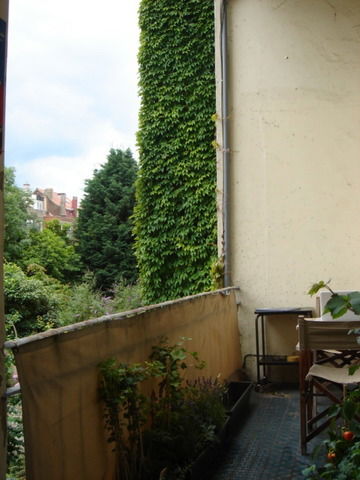 Homestay Brussels 26749