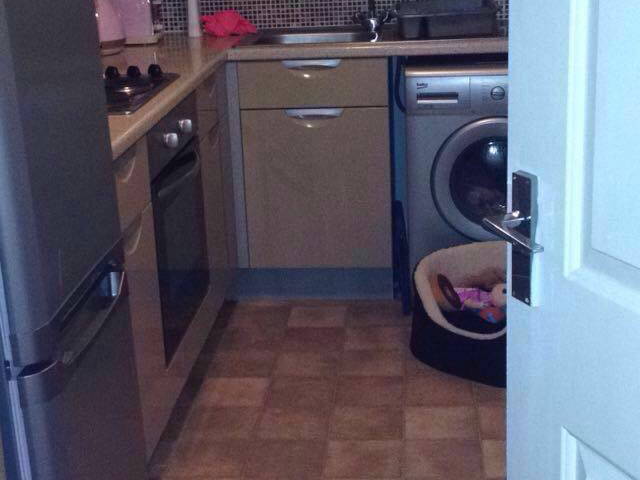 Gastfamilie Armthorpe 146125-3