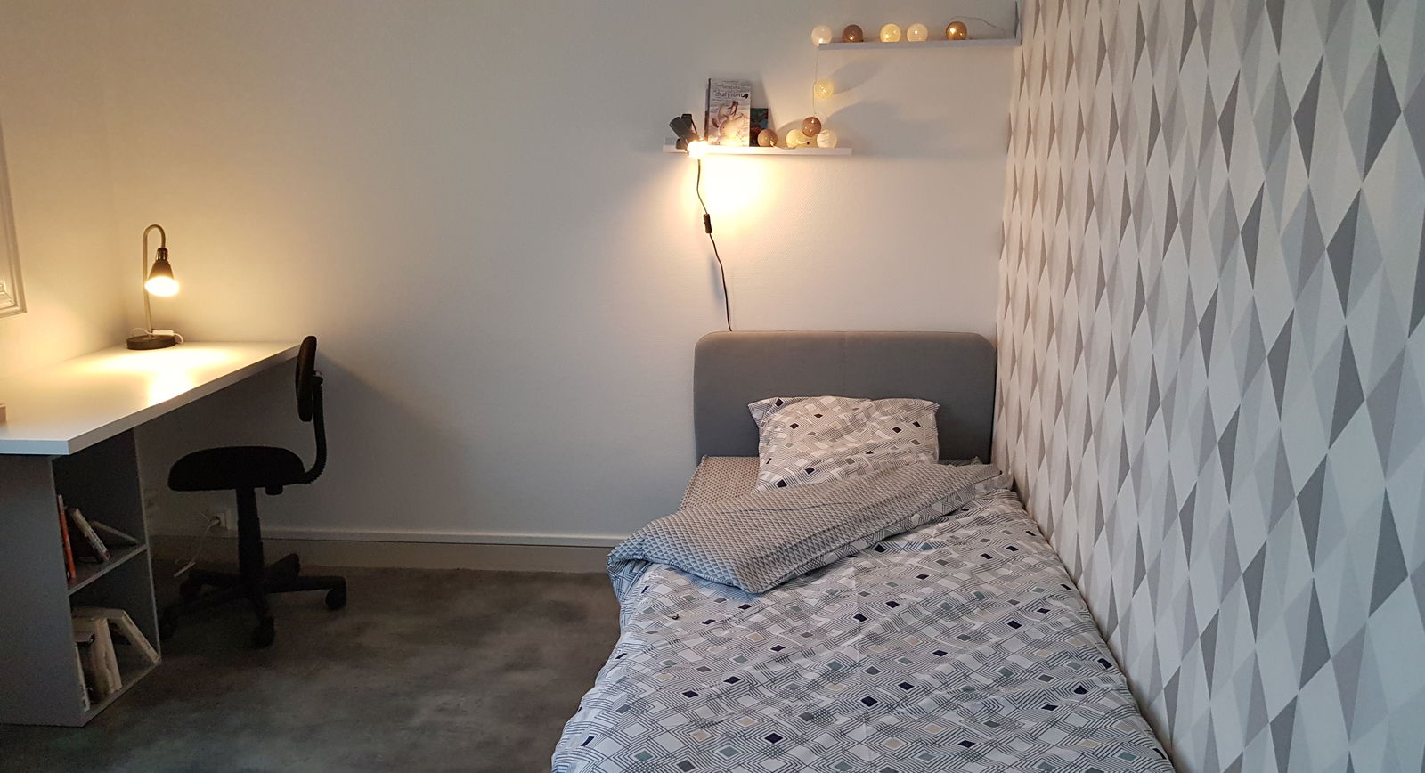 Colocation Orléans 230705